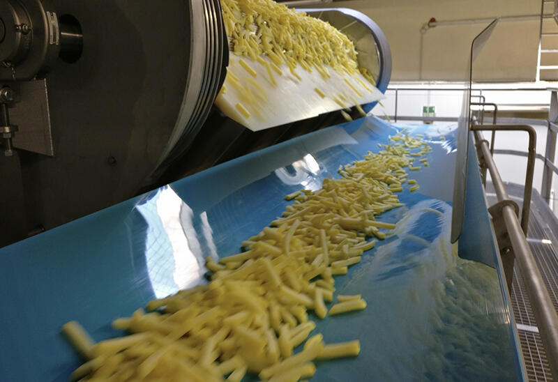 Tek-Dry Systems French Fry Processing Factory Machinery