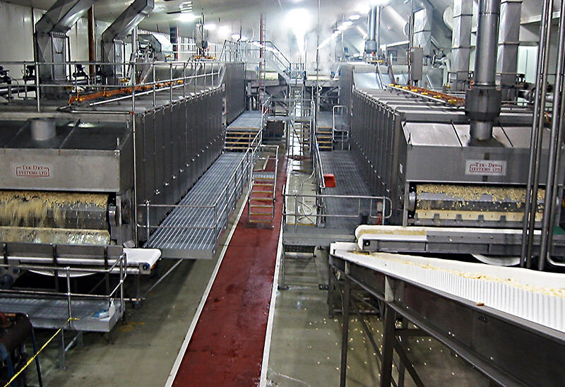 Tek-Dry Systems French Fry Processing Factory Equipment